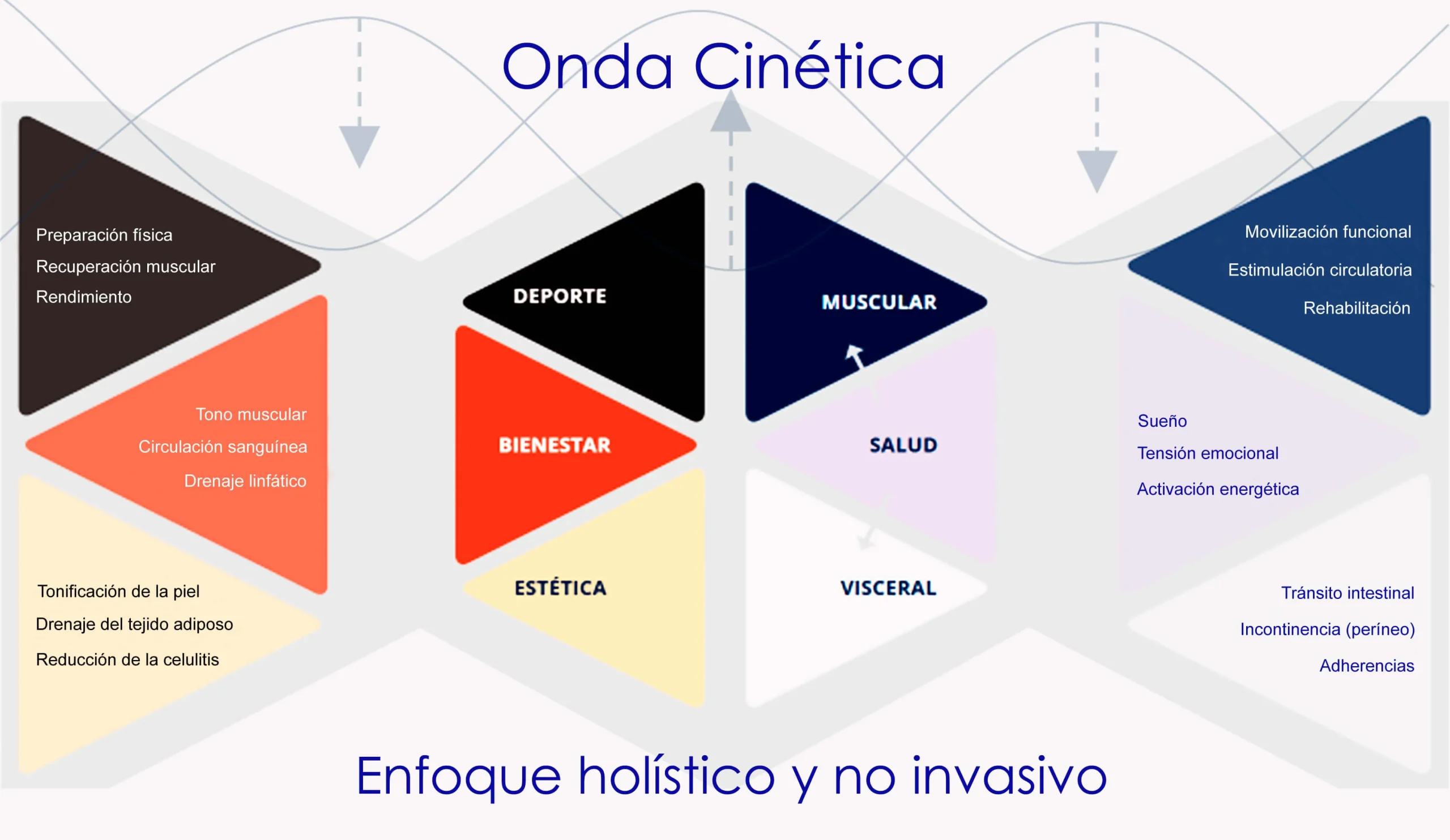 Gráfico de la Onda Cinética mostrando un enfoque holístico y no invasivo que abarca deporte, bienestar, estética, salud, muscular y visceral, con beneficios como recuperación muscular, circulación, tonificación, rehabilitación, equilibrio emocional y mejora del tránsito intestinal.